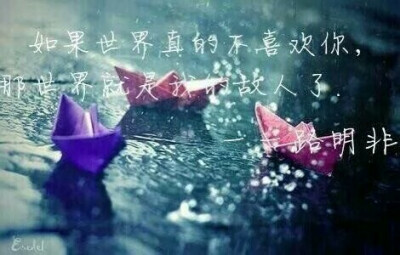 如果我真的爱过你