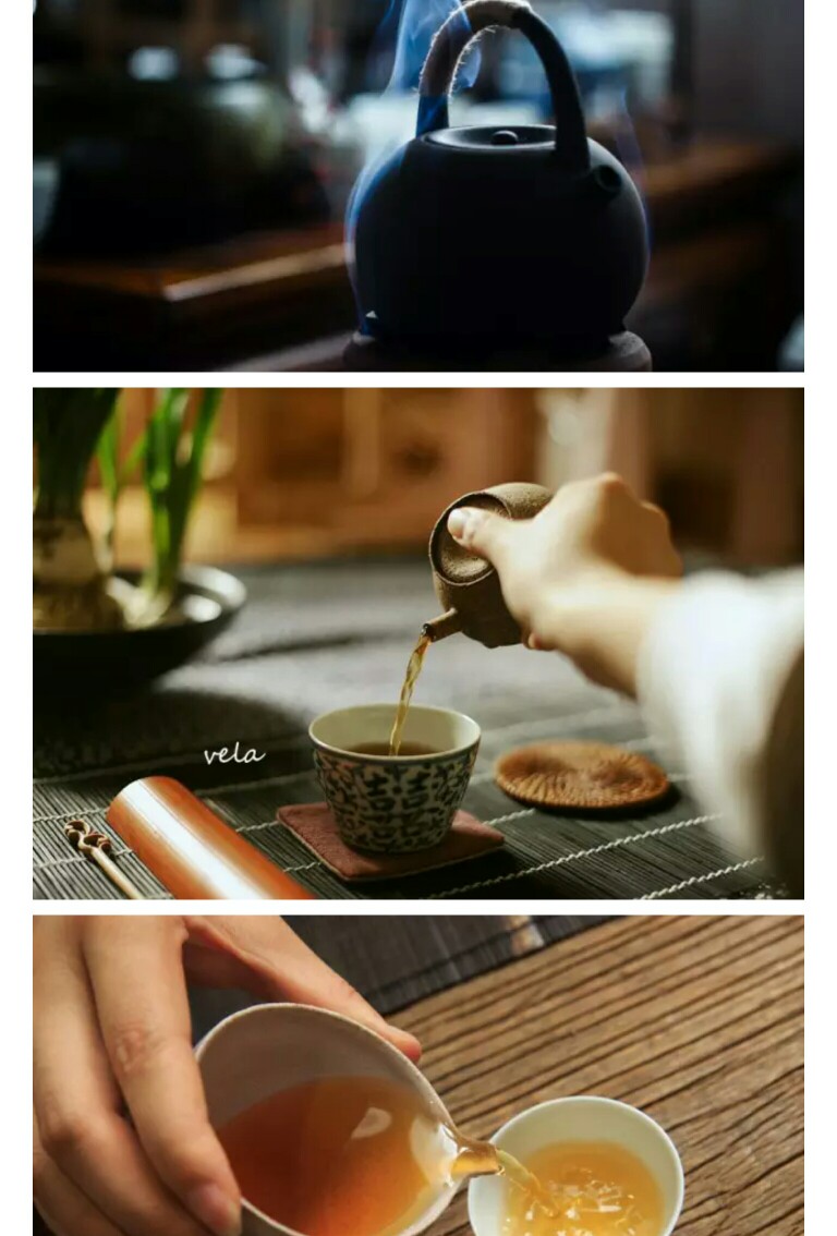 茶意盎然