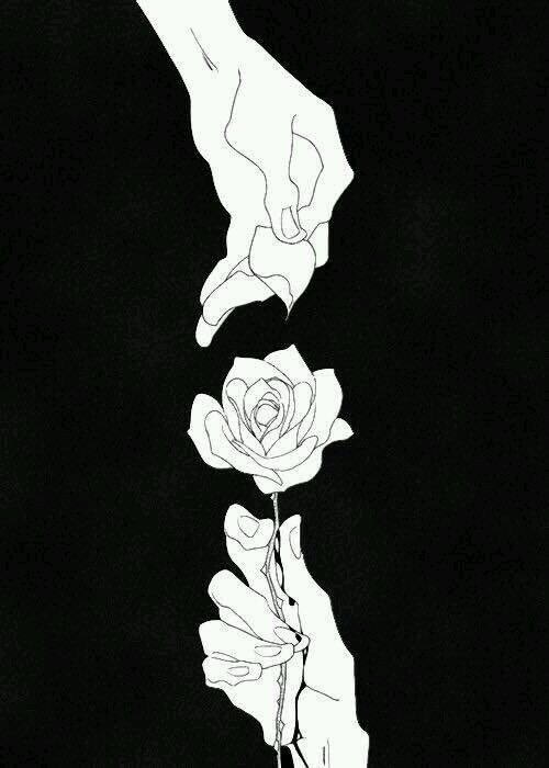手 玫瑰 黑白