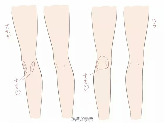 在画腿部的时候,记得用线条突出膝盖骨以及膝盖内侧,这样会让腿型看