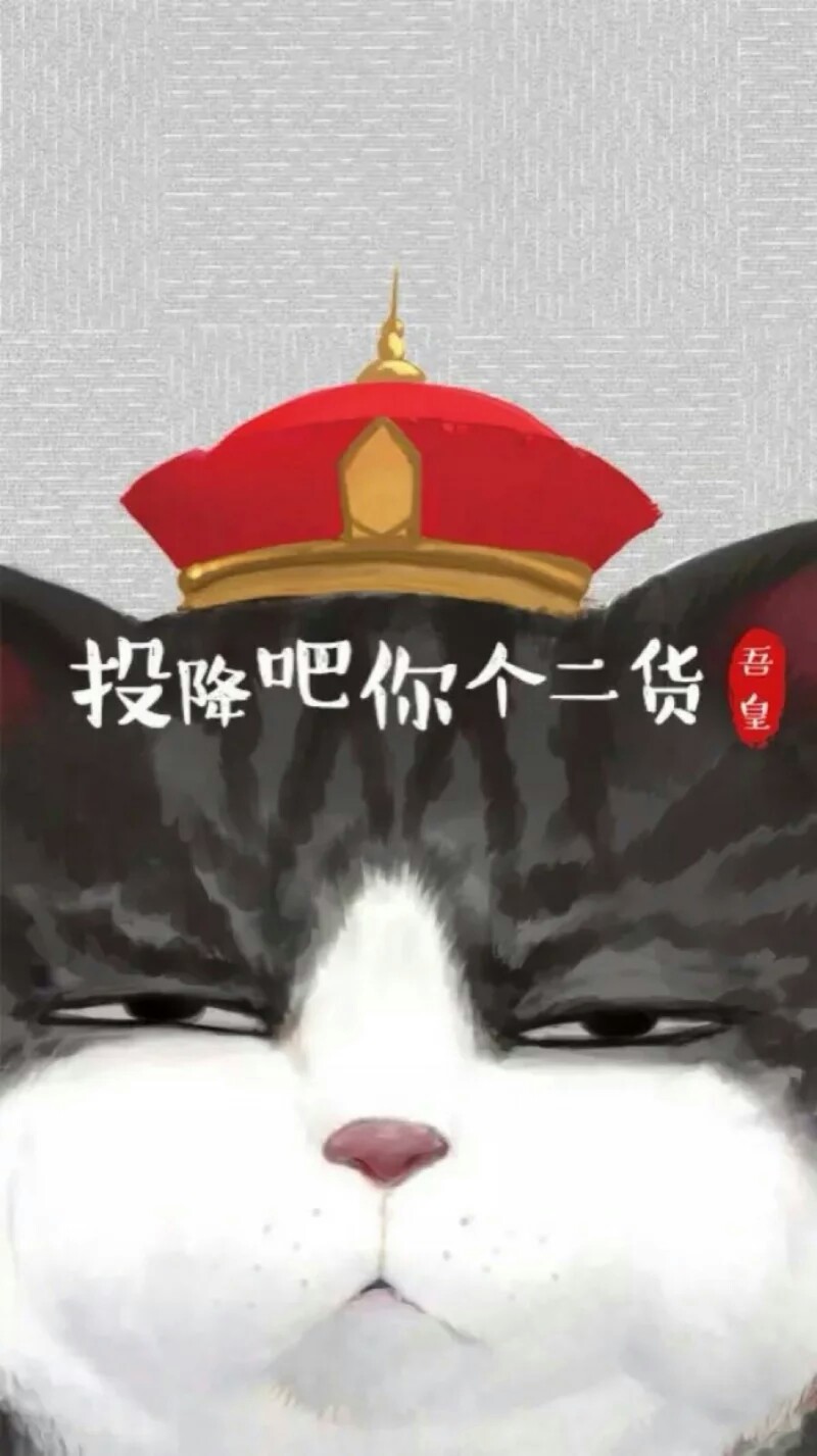 《就喜欢你看不惯我又干不掉我的样子》白茶作品