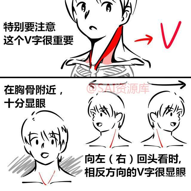 绘画漫画素材脊柱脖子的画法