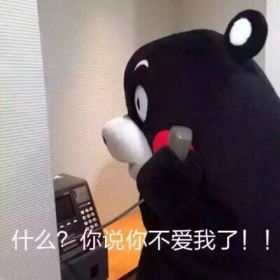 熊本 什么?你说你不爱我了 表情包