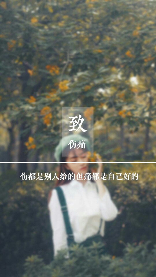 唯美文字系列 【致】 可做手机壁纸