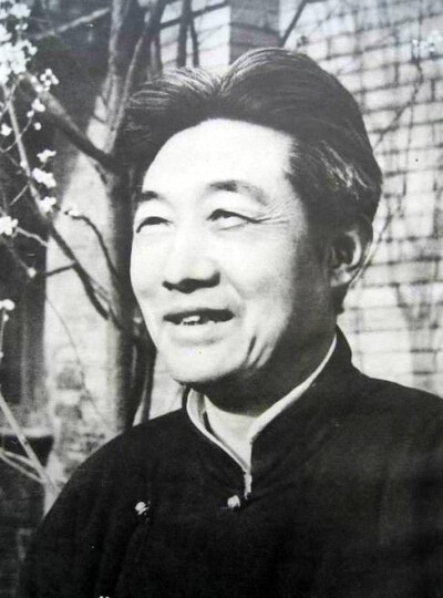 徐悲鸿(1895-1953年,汉族,原名徐寿康,江苏宜兴市屺亭镇人.