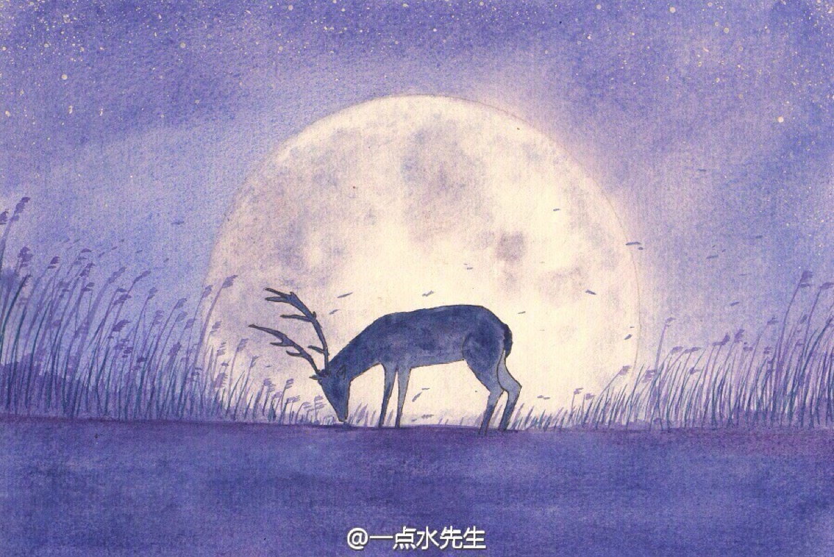 夜晚的小鹿