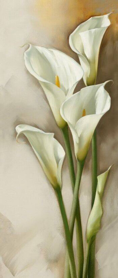 俄罗斯画家艾格尔·利亚索(igor levashov)花卉油画作品马蹄莲