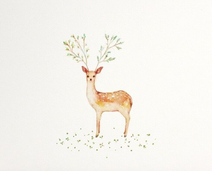 鹿,手绘,水彩,插画,唯美,壁纸,意境