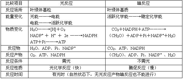 光反应暗反应