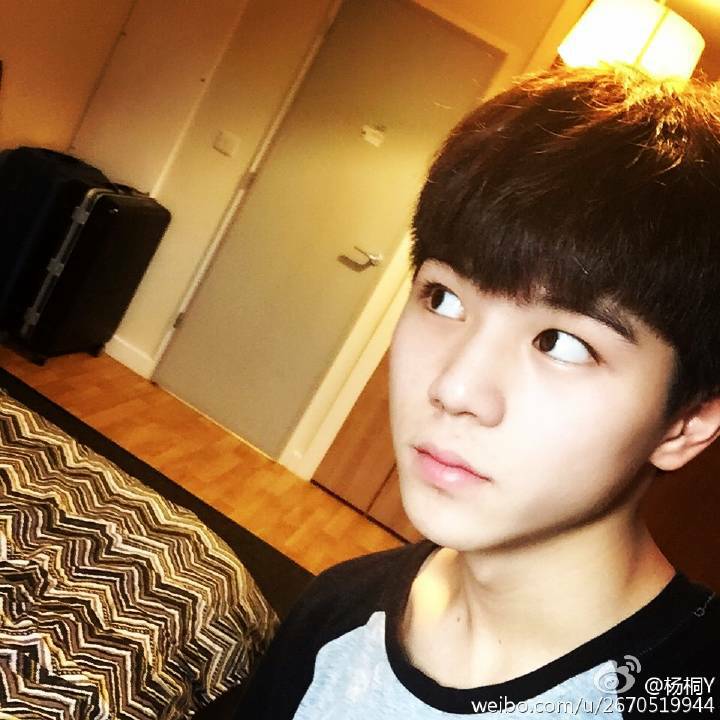 杨桐
