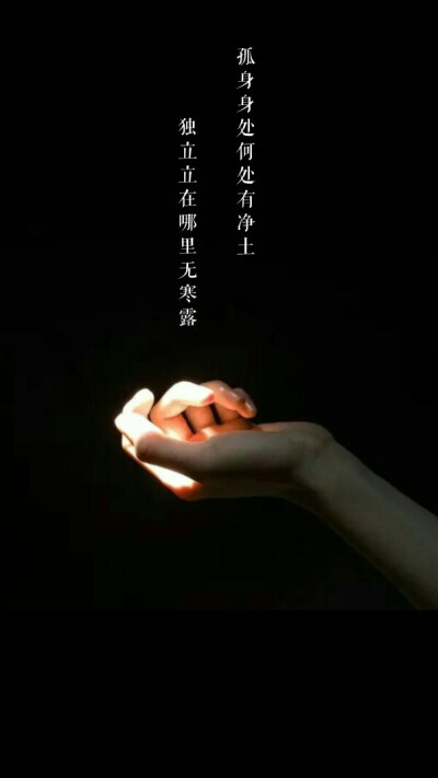 孤身无寒露 独立有净土