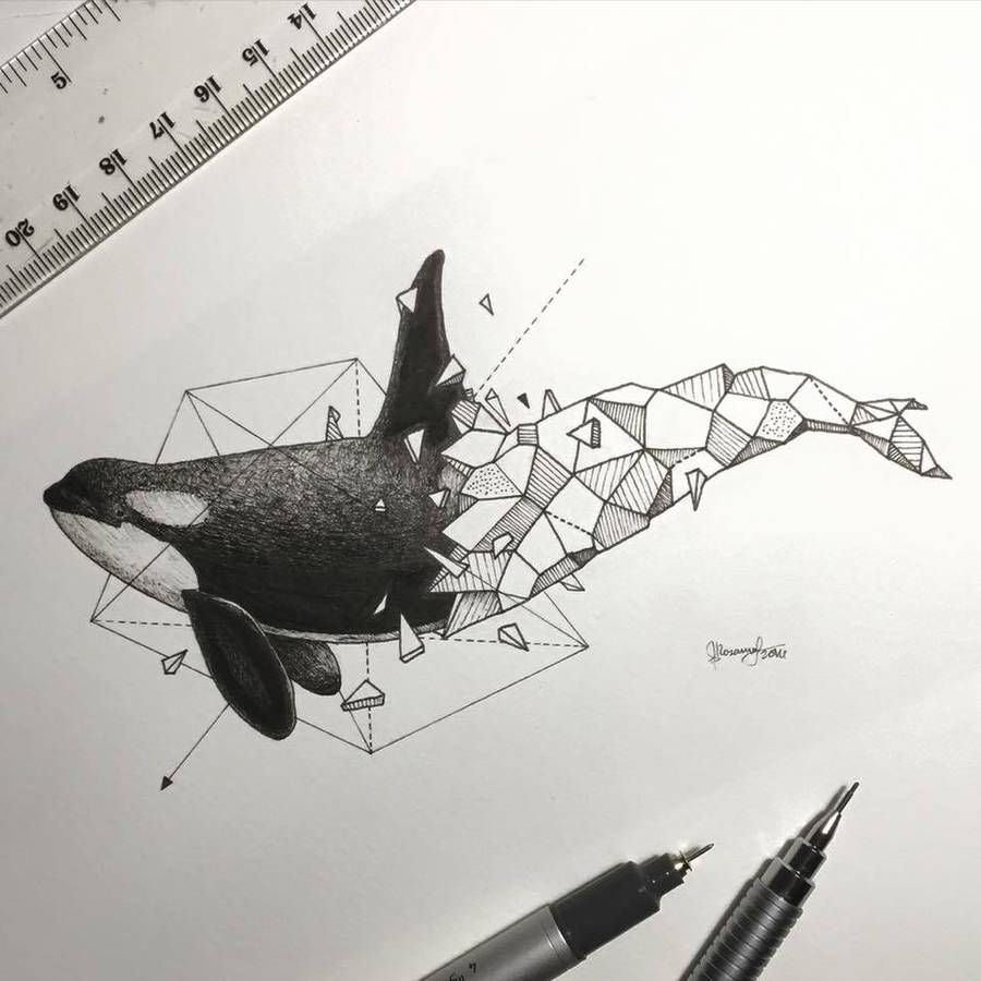 rosanes 几何图形与动物融合插画geometrica tattoo一半几何一半动物