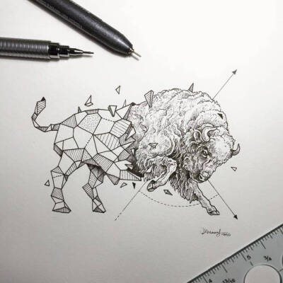 菲律宾画家 kerby rosanes 几何图形与动物融合插画geometrica tattoo