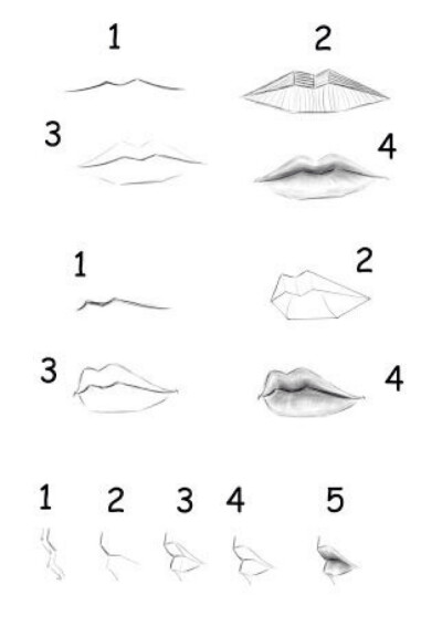 如何画嘴唇,然后比较有用且稀有的应该是侧面的那个画法.