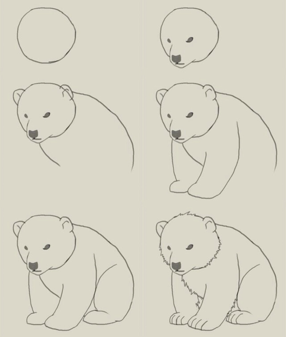 简笔画这是和北极熊吗2333反正是个熊然后挺呆萌呆萌的喜欢的看看吧