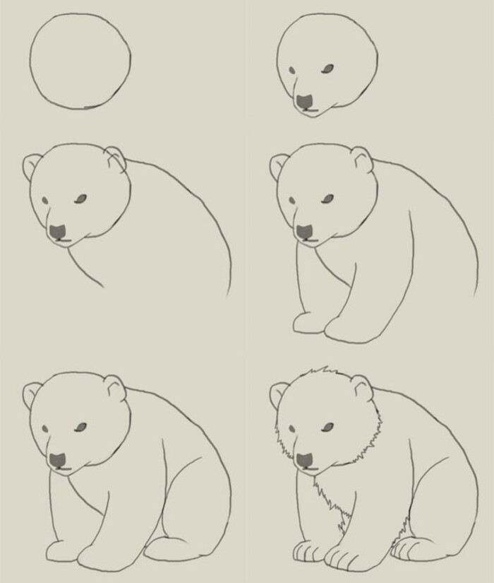 简笔画,这是和北极熊吗2333 反正是个熊,然后挺呆萌呆萌的.