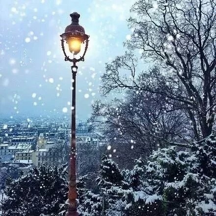 雪花飘飘