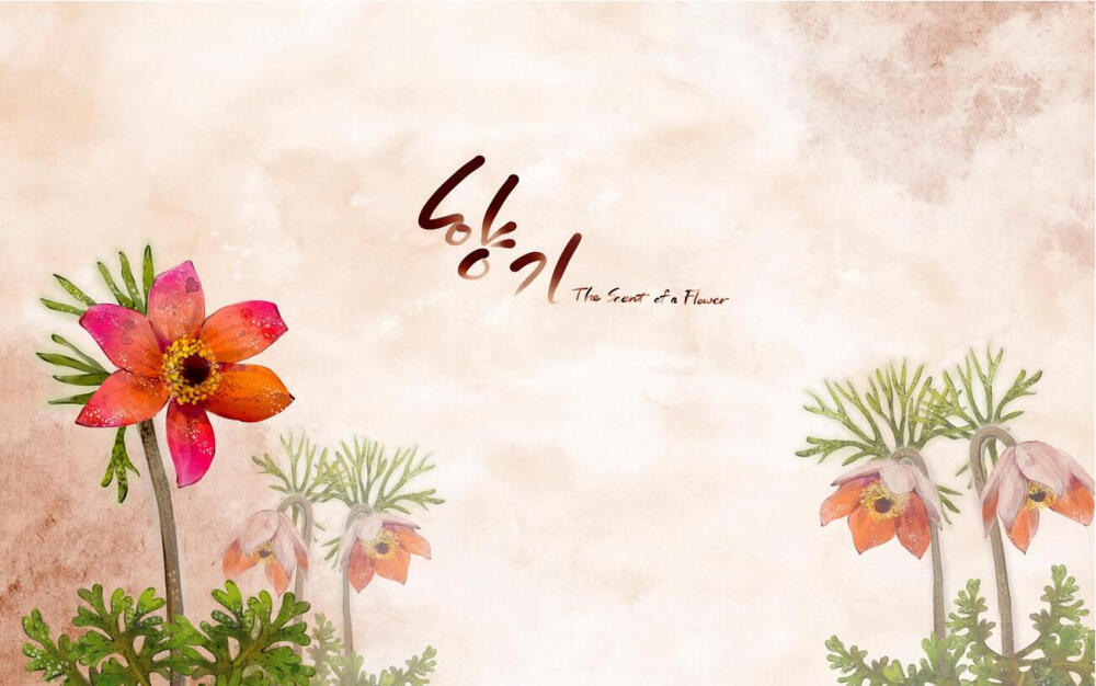 花名未知,求花名~flowers浪漫清新花儿背景素材