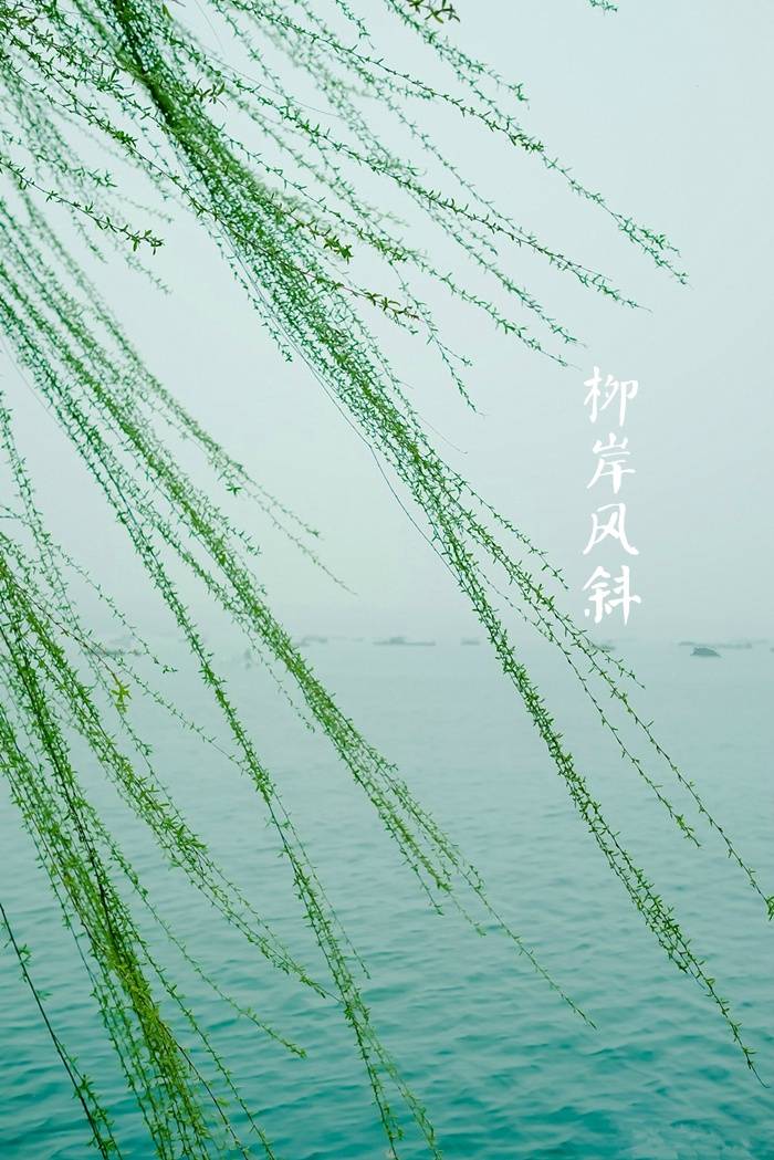 【中国节气:春分】春山浅黛,雷乃发声.柳岸风斜,鸳鸯浮水.