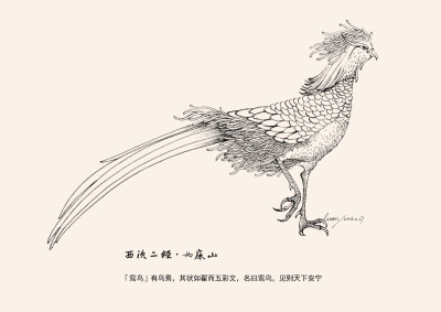 《山海经·西次二经女床山》「鸾鸟」女床山中有一种鸟,它的形状像