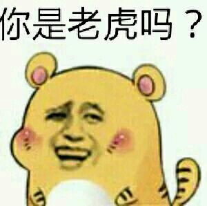 十二生肖表情包!你是猪吗?表情包大全