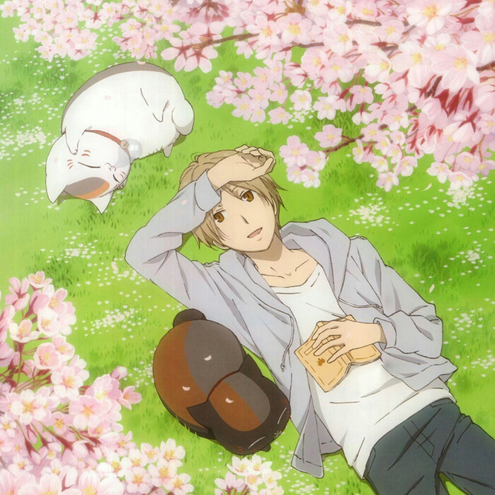 动漫·动漫男·动漫壁纸·夏目友人帐·夏目·猫咪三三