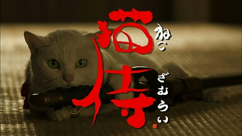 猫侍