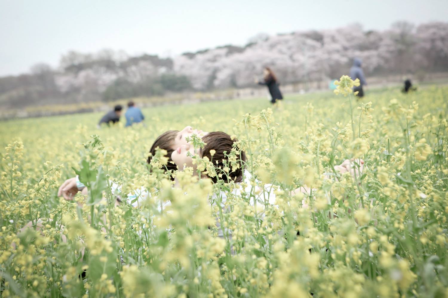 花样年华pt.