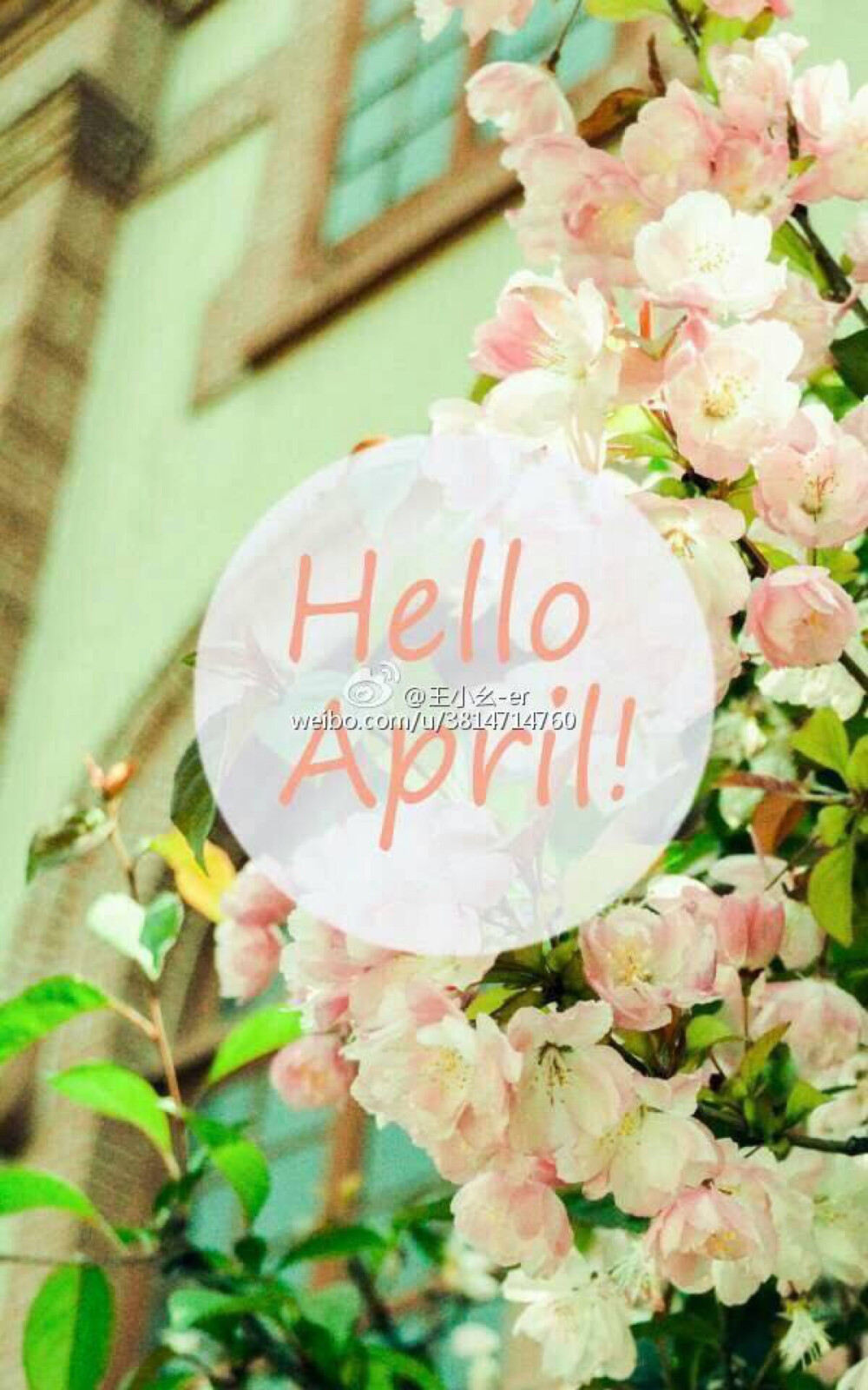 helloapril