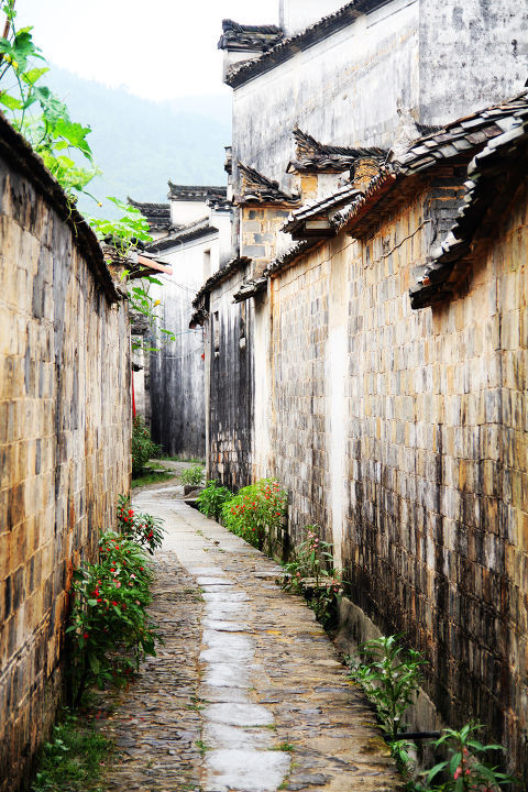 路#唯美 小清新 治愈 大气磅礴 摄影 人物 植物 怀旧 封面 风景