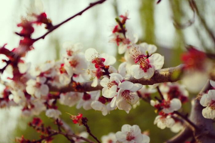 既然选择了远方,便只顾风雨兼程。