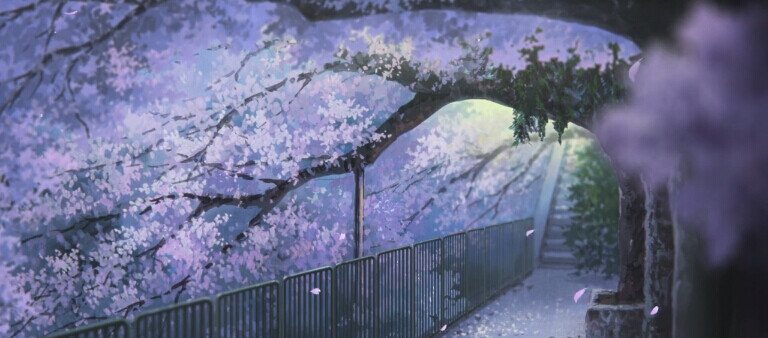 夜景,樱花,背景,日常,唯美,小清新,二次元,自戳,卡通,动漫,壁纸,手机