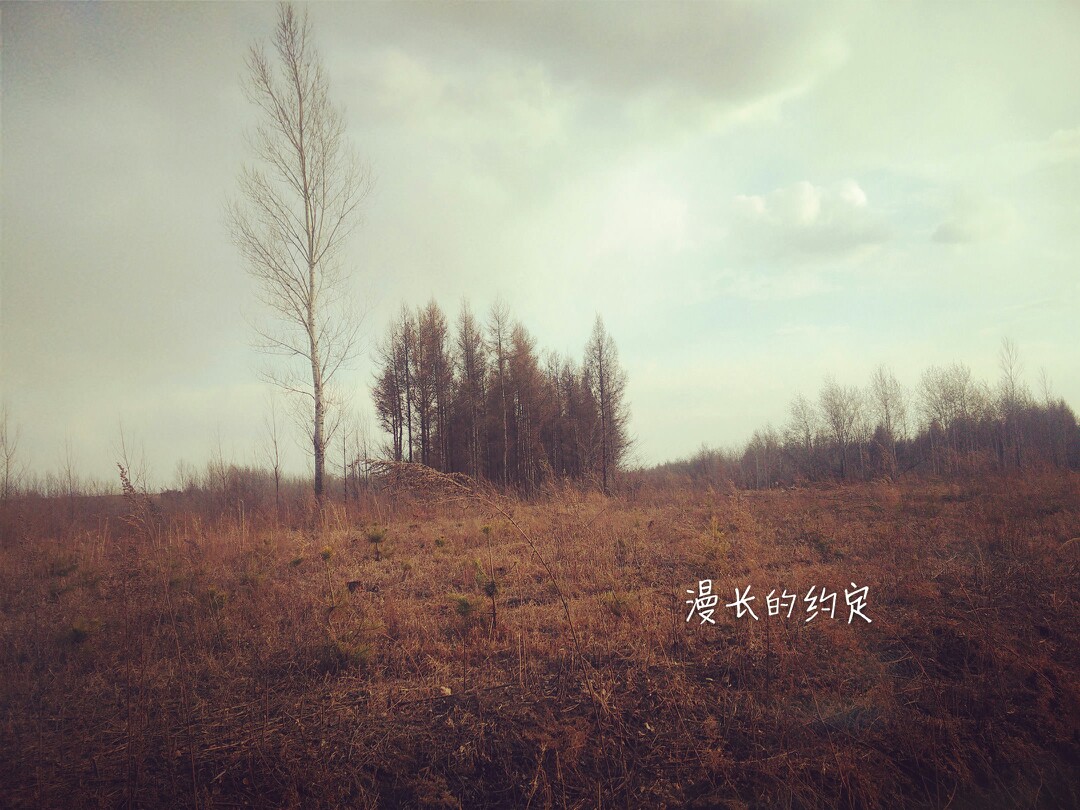 约定- 堆糖,美图壁纸兴趣社区