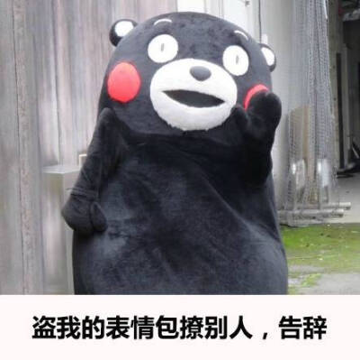 收集   点赞  评论  疯狂输出表情包的一天 终于要结束了啊啊啊啊 0