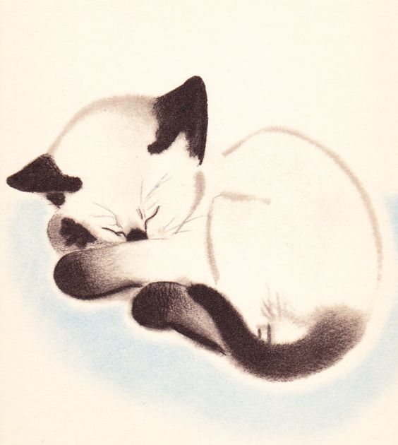 猫咪的画 来自艺术家 clare turlay newberry