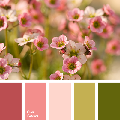 color palette ideas page of 344