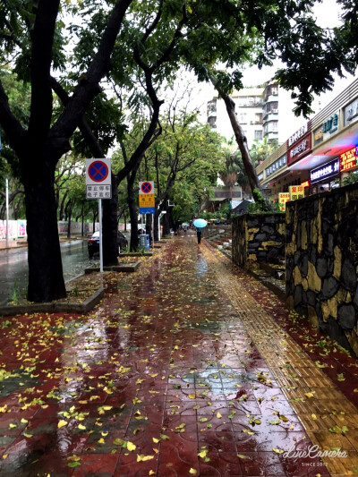 最近深圳下雨了