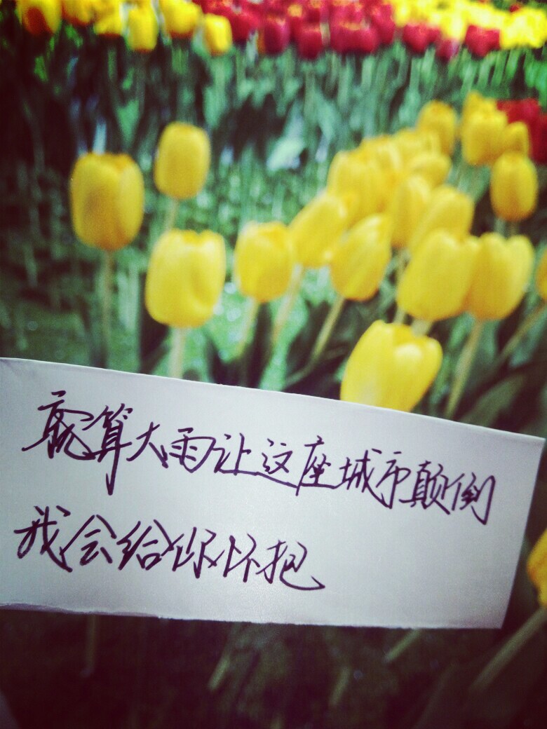 简单的小情歌