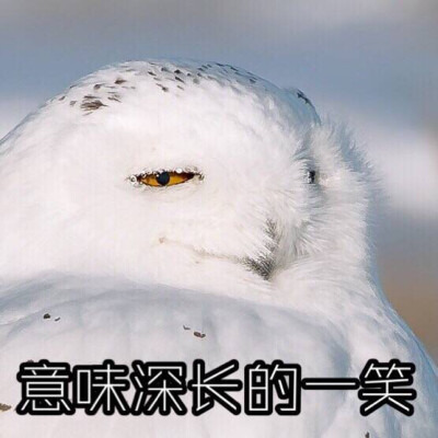 意味深长的一笑