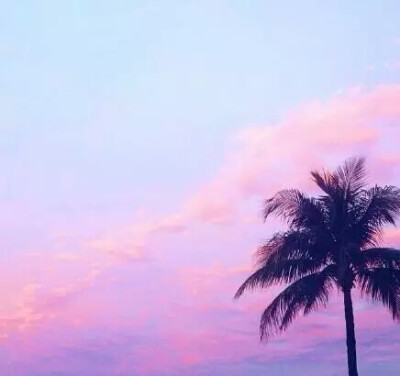 紫色,渐变,天空