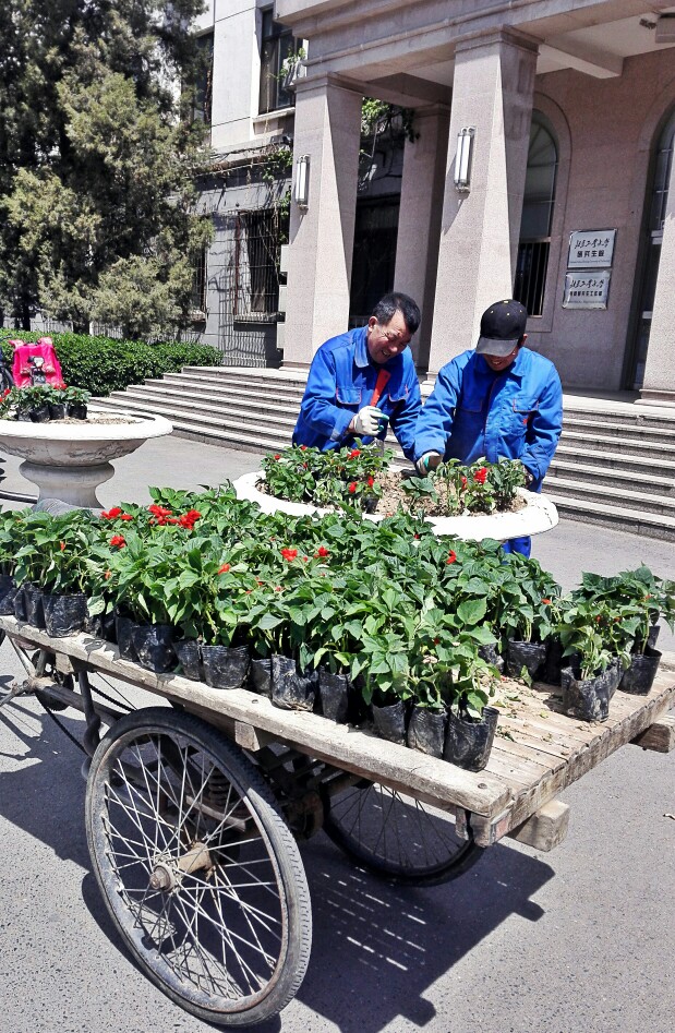 春天 在学校的花坛里种花了 堆糖 美图壁纸兴趣社区