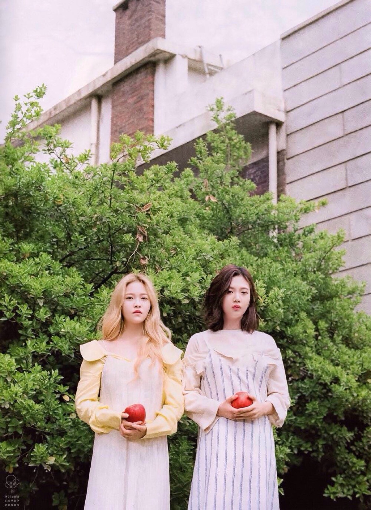 red velvet朴秀荣金艺琳 joy-yeri