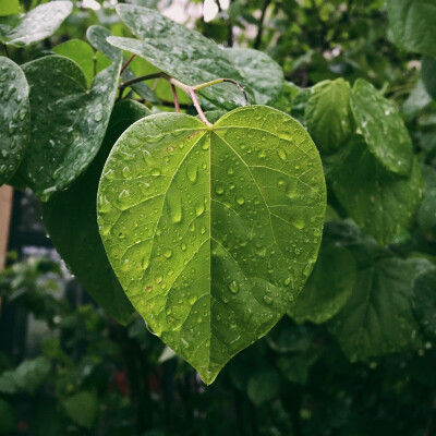 下雨