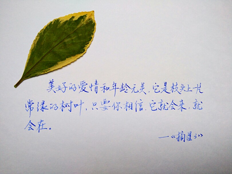 美好的爱情与年龄无关.