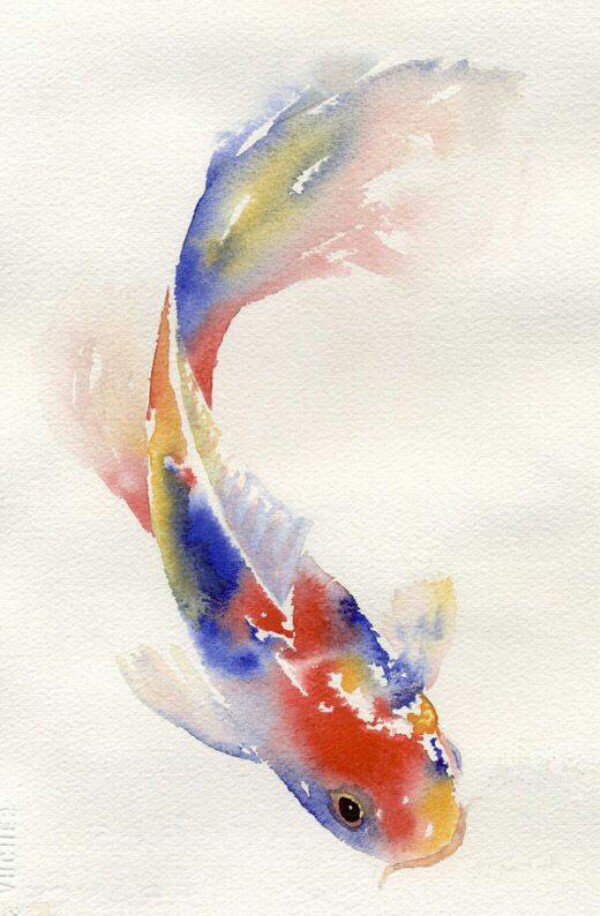 鱼水彩手绘