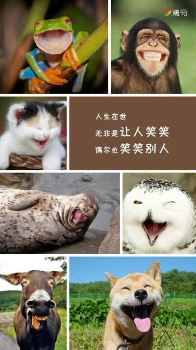 笑一笑,没什么大不了