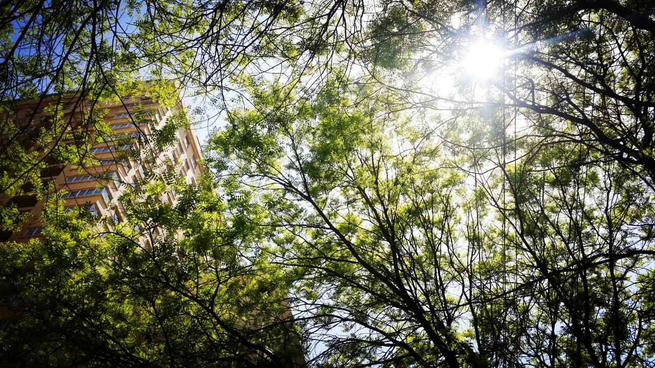 初夏的午后随手拍 美图 风景 原创 摄影 壁纸 喜欢的话要收藏我哦(≥