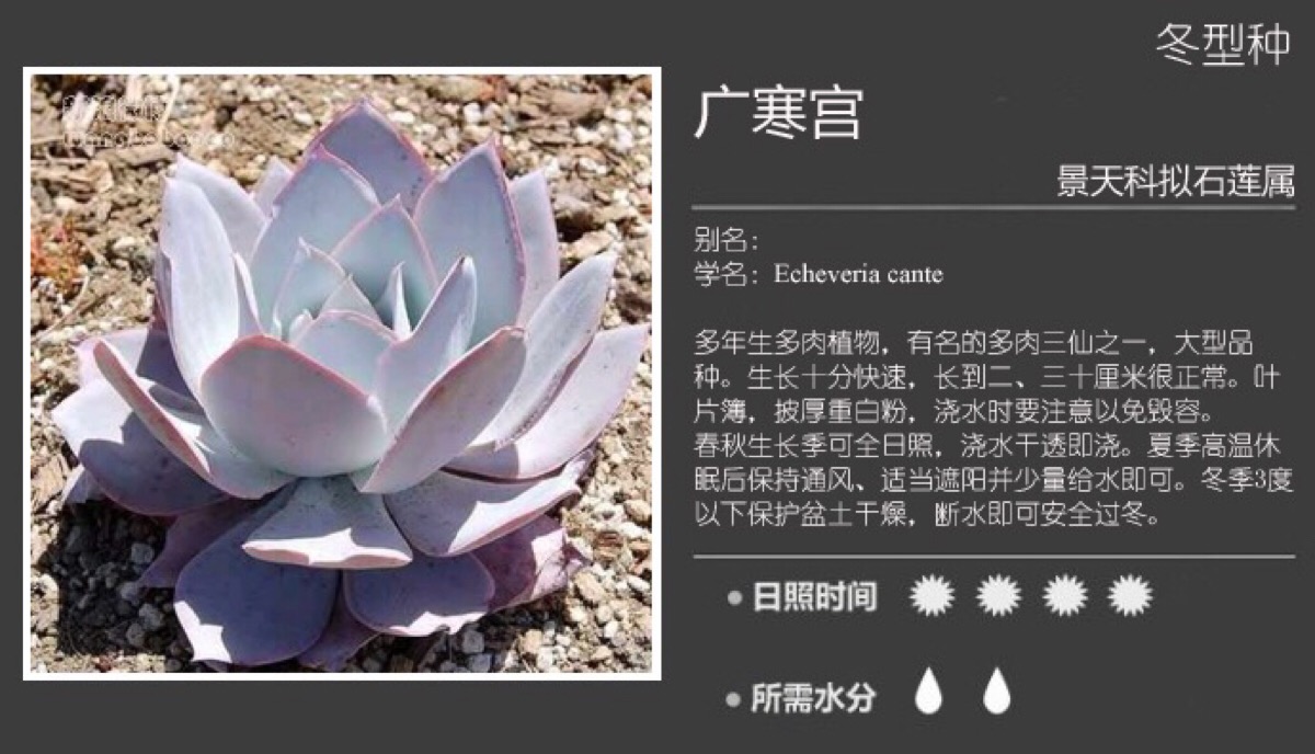 广寒宫 堆糖,美图壁纸兴趣社区