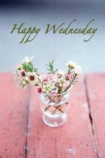 快乐星期三 happy wednesday