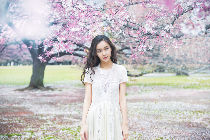 angelababy《樱花说》